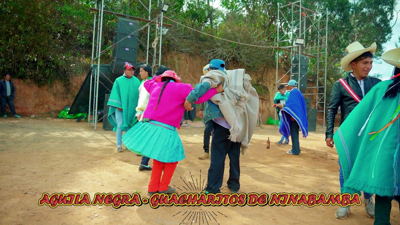 AGUILA NEGRA - GUACHARITOS DE NINABAMBA - MUSICA DEL RECUERDO - GADIEL PRODUCCIONES 959451227