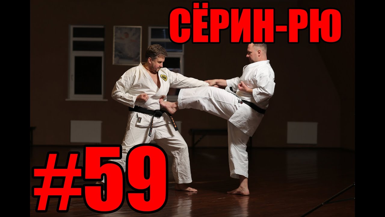 Боевые искусства мира. Сёрин-рю