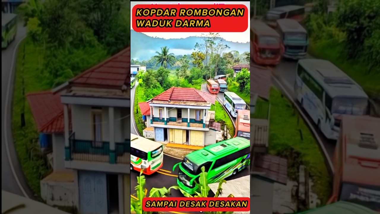 VIRAL ROMBONGAN BUS TERBANYAK ‼️ Manuver bus di. tikungan tajam