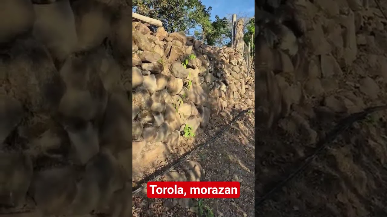 #morazan
