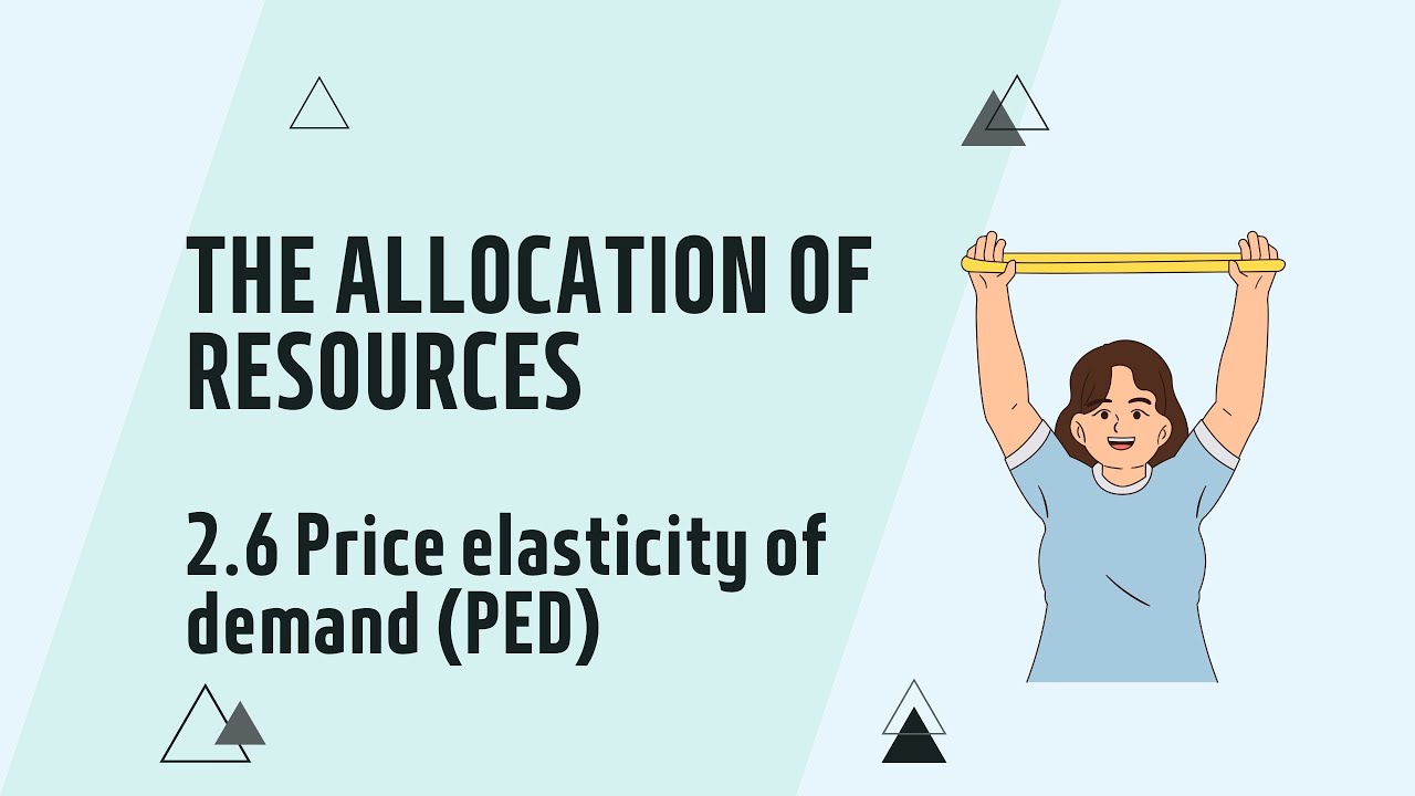 IGCSE Economics: Chapter 2.6 Price elasticity of demand (Updated for 2027 syllabus)