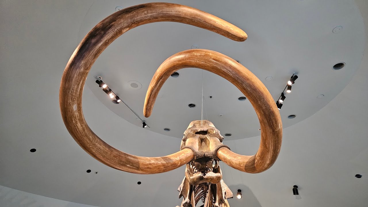 Monster under our feet: La Brea Tar Pits Los Angeles 