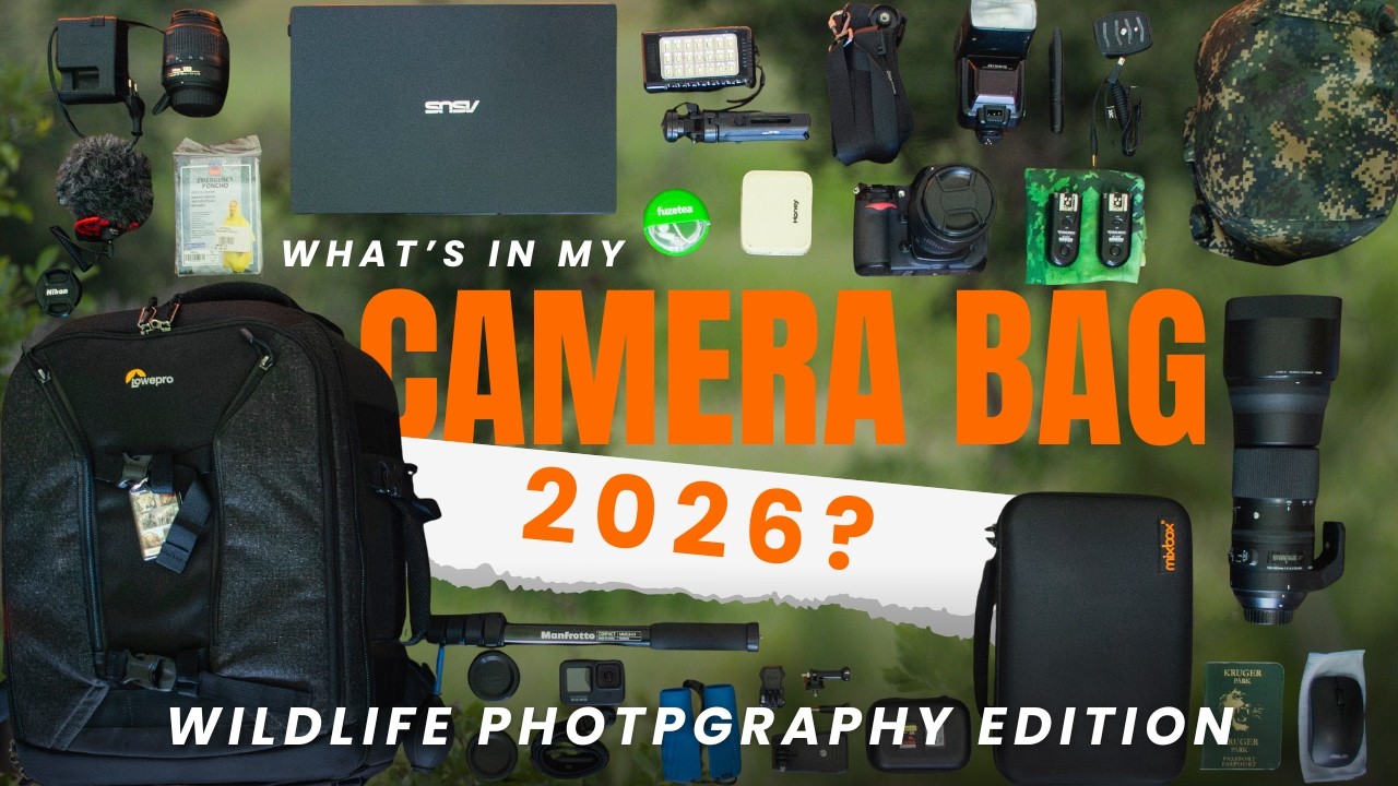 Что будет в моей фотосумке в 2026 году | Фотография дикой природы