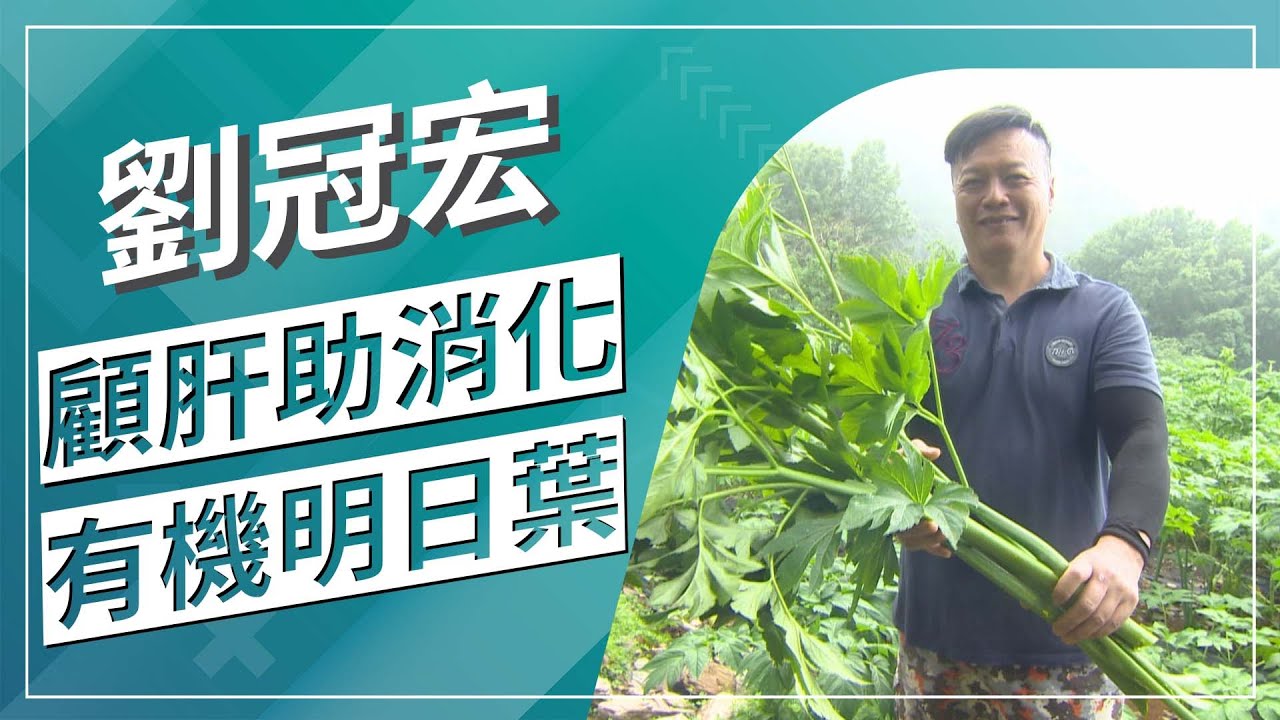 台灣竟有這種護肝神菜？！外銷到奧地利當保健品｜草地狀元 (2022.6.27播出)｜南投埔里