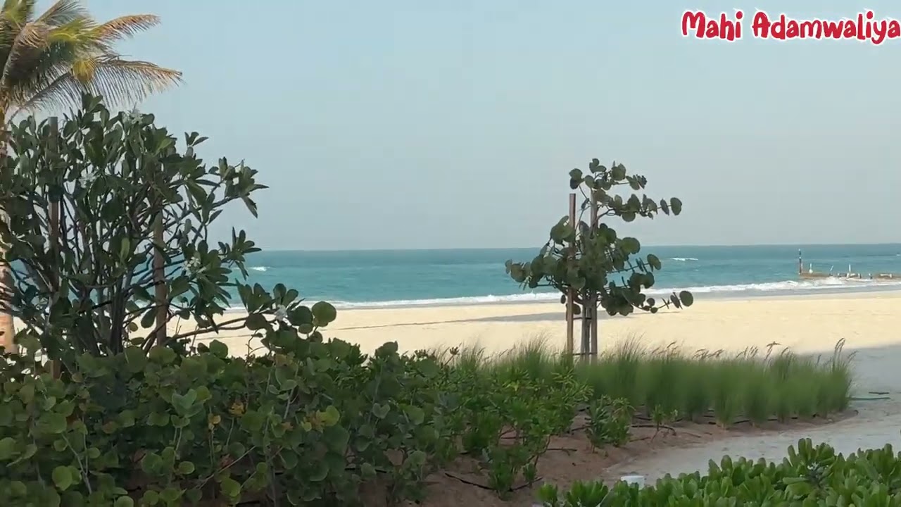 ABU DABI DA SONA BEACH 🏖️ AREA 🥰 #mahiadamwaliya #abudhabi 