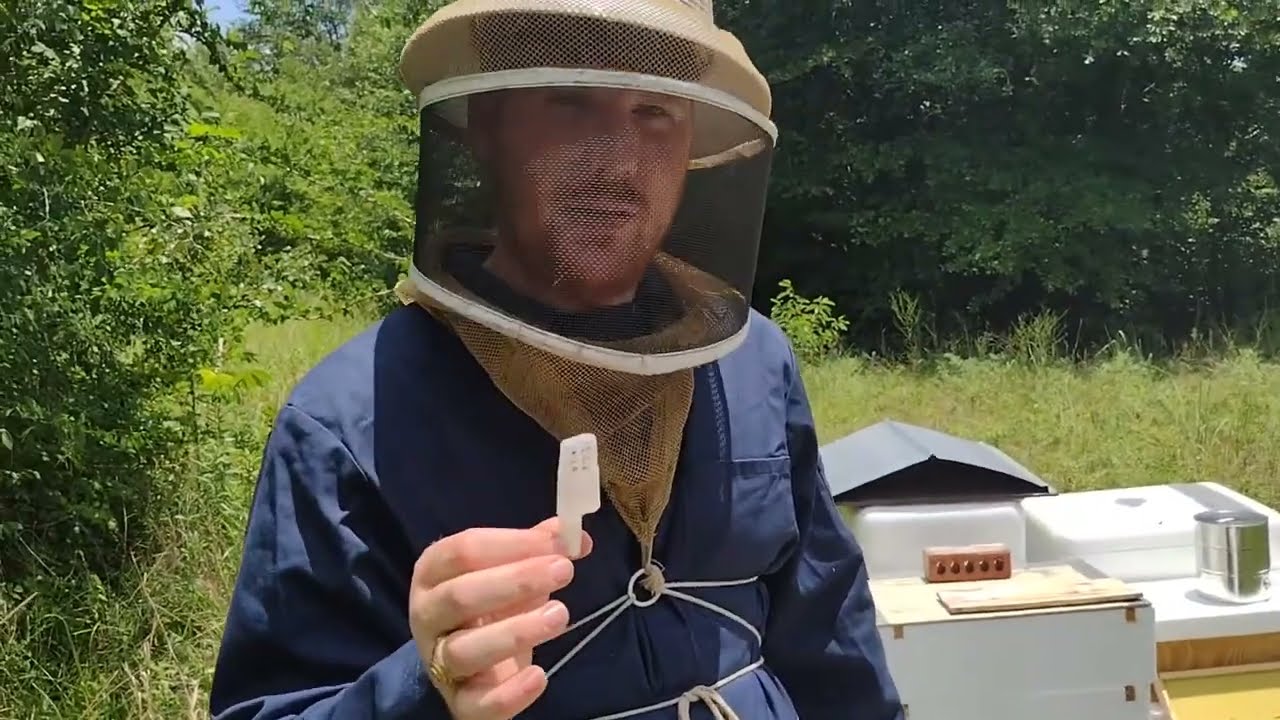 Two Queen System