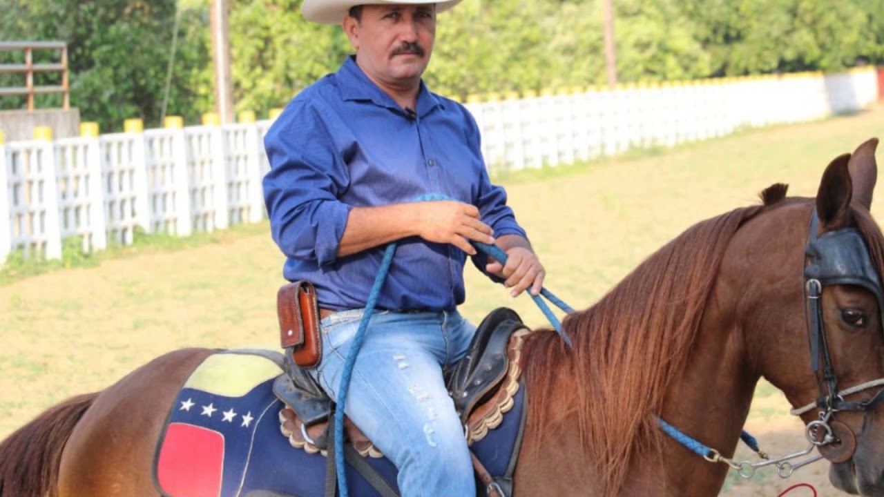 MI LLANO EN ENTRADAS DE AGUA - GELMAN MEDINA