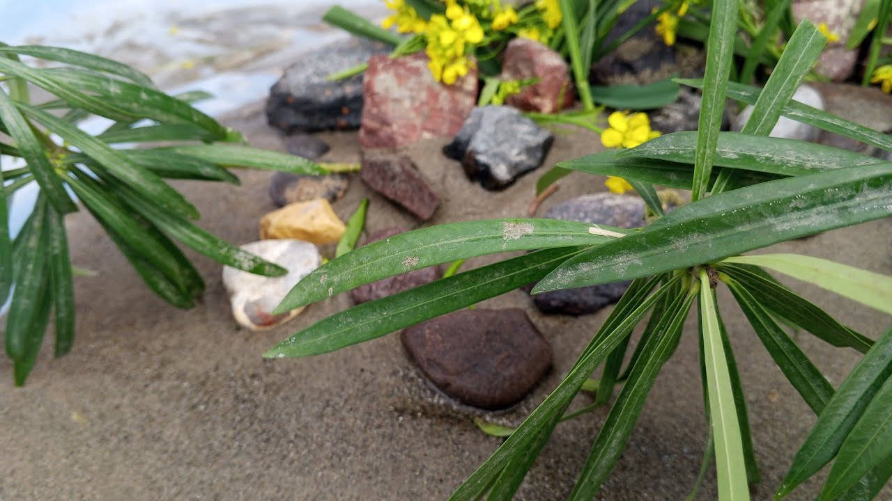 Beautiful tiny hand made island [HD]🏝️