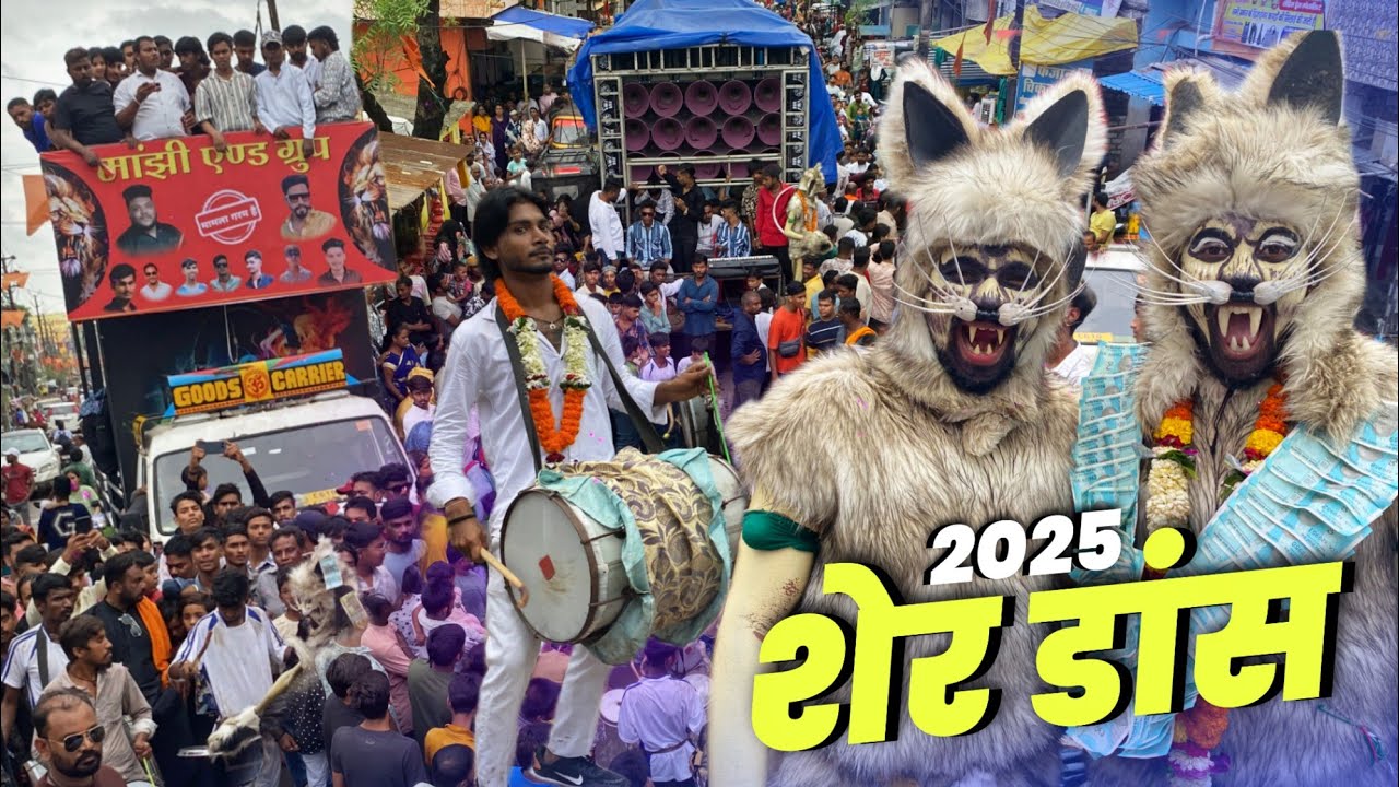 मुहर्रम शेर डांस बिलासपुर 2025 - Sher Baja Bilaspur