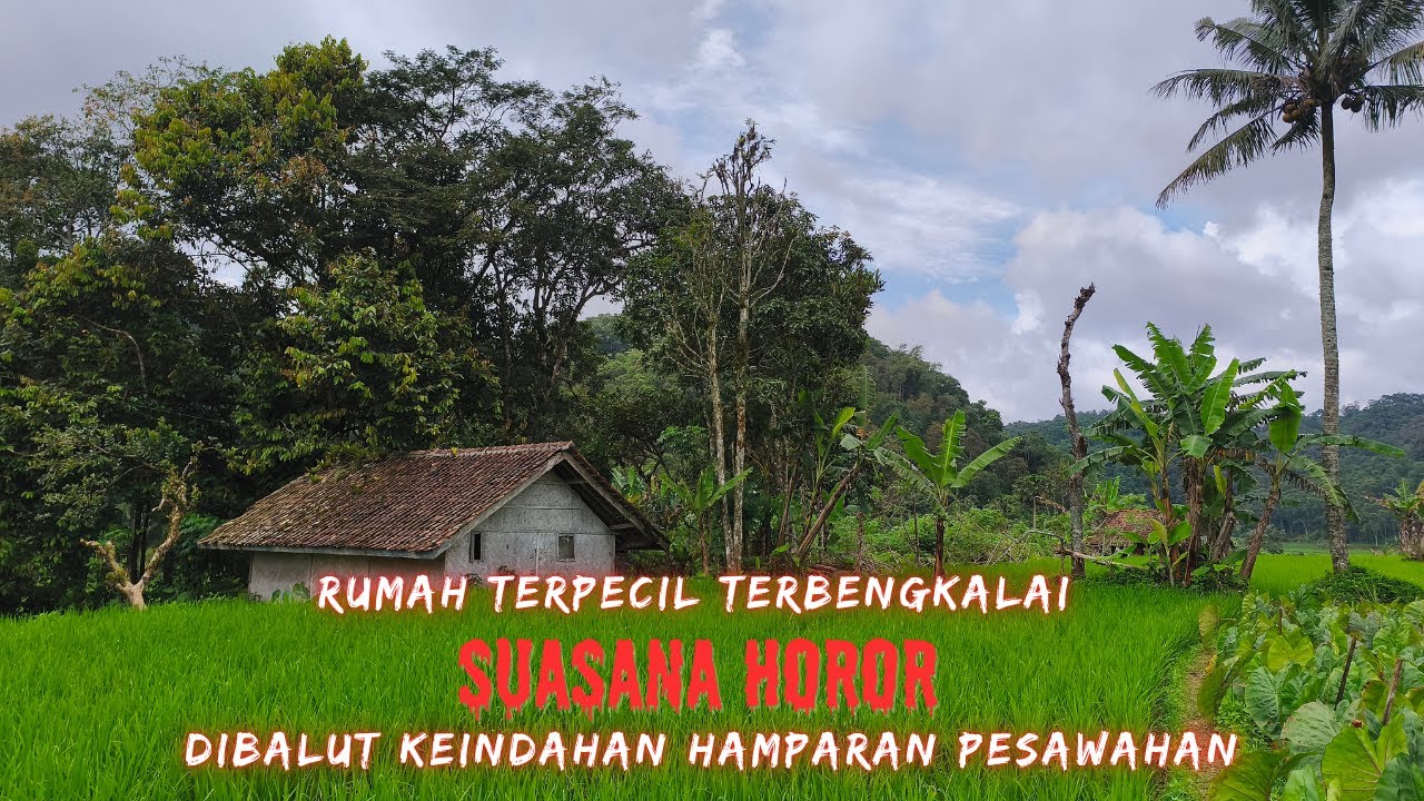 Suasana Pedesaan‼️Rumah Terpencil Terbengkalai di Tengah Sawah Indah dan Perbukitan.