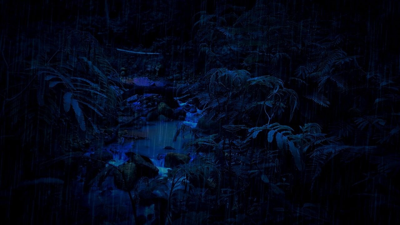 Dimmed Screen Rain Sounds 🌧️ River Forest Ambience Blue Light 🌚