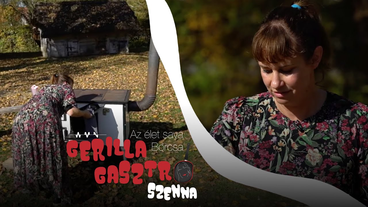 Az élet sava Borcsa Gerilla Gasztro S01E01