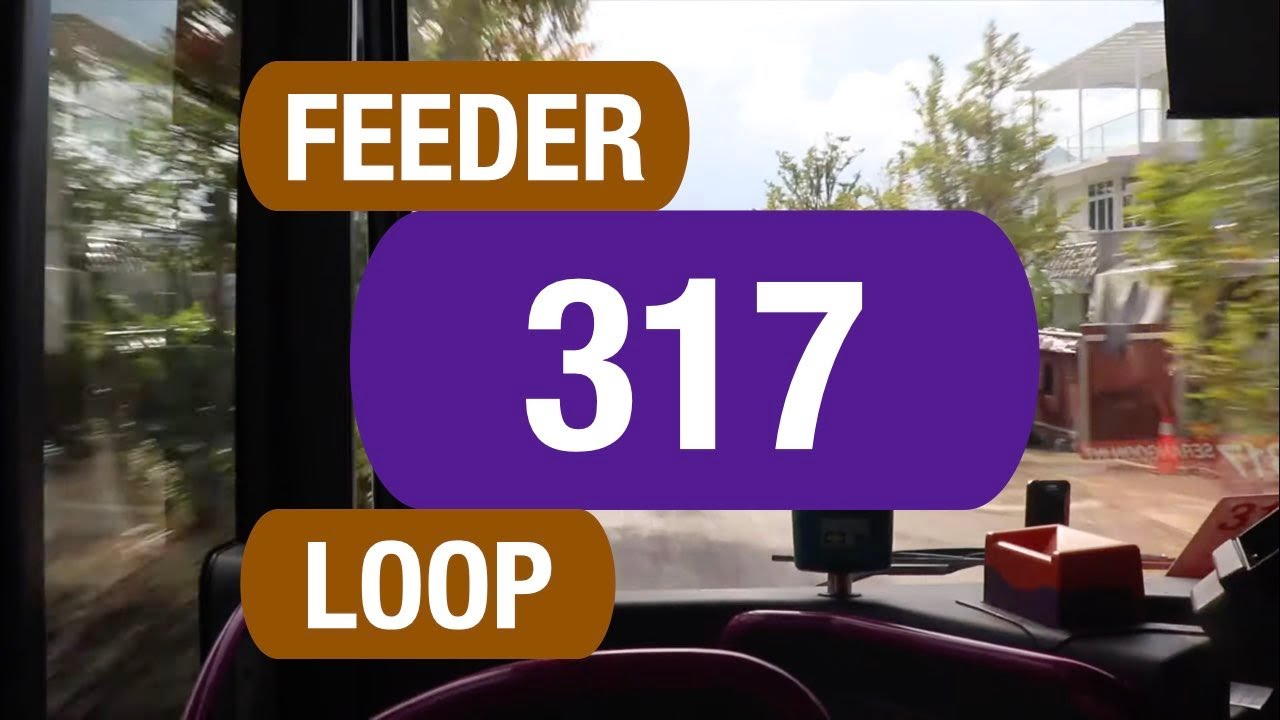 SBS Transit Feeder 317 | Bus Service Route Visual