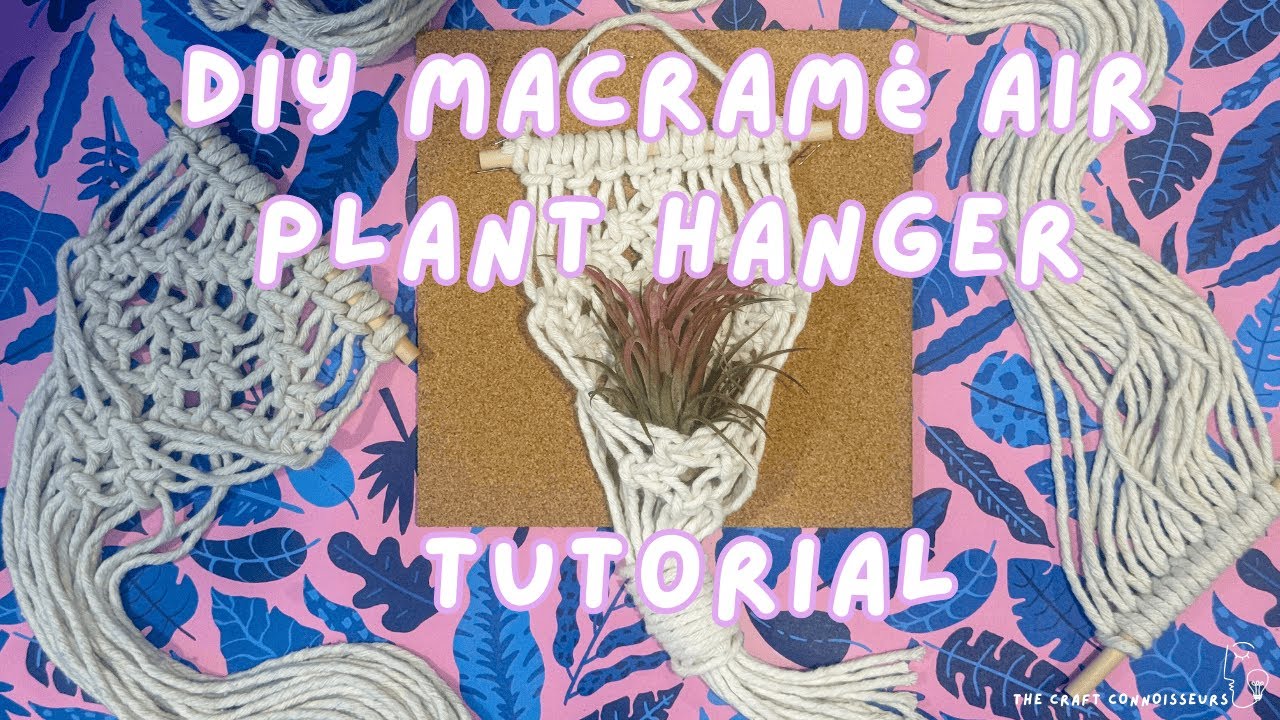 DIY Macramé Air Plant Hanger Tutorial | The Craft Connoisseurs 🌿✨