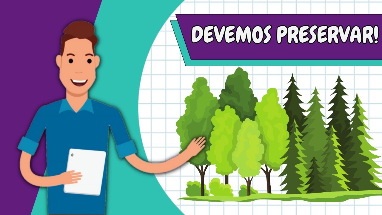 IMPORTÂNCIA DAS ÁRVORES