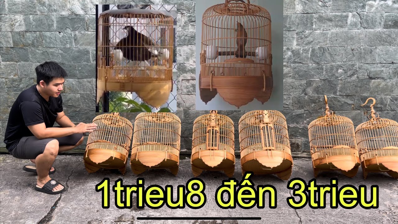 Lồng Khướu - Lồng Họa Mi - Báo Giá các mẫu tre già đẹp cuối năm 2023 - lồng chim Vũ Minh