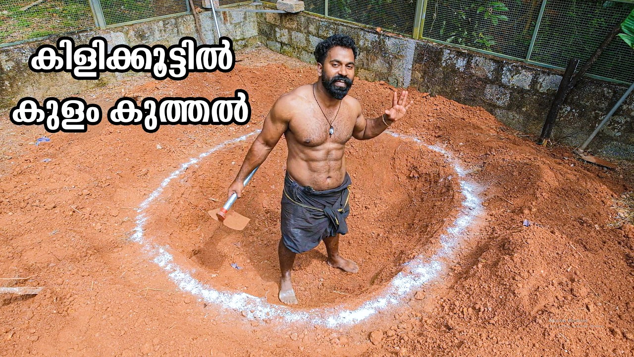 Ep 3 Building A Giant Bird House | ഇനി കുളം കുത്തൽ | M4 Tech |