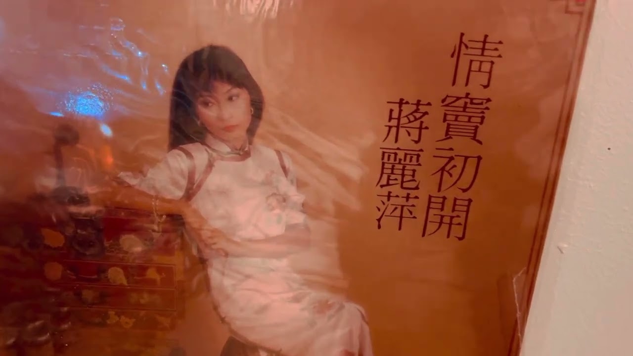 蔣麗萍 明日有會期