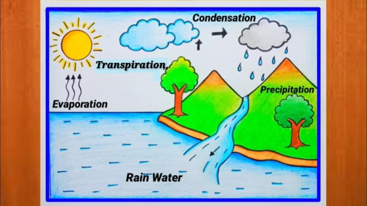 Water cycle drawing| How to draw water cycle for school project| water cycle easy drawing|watercycle