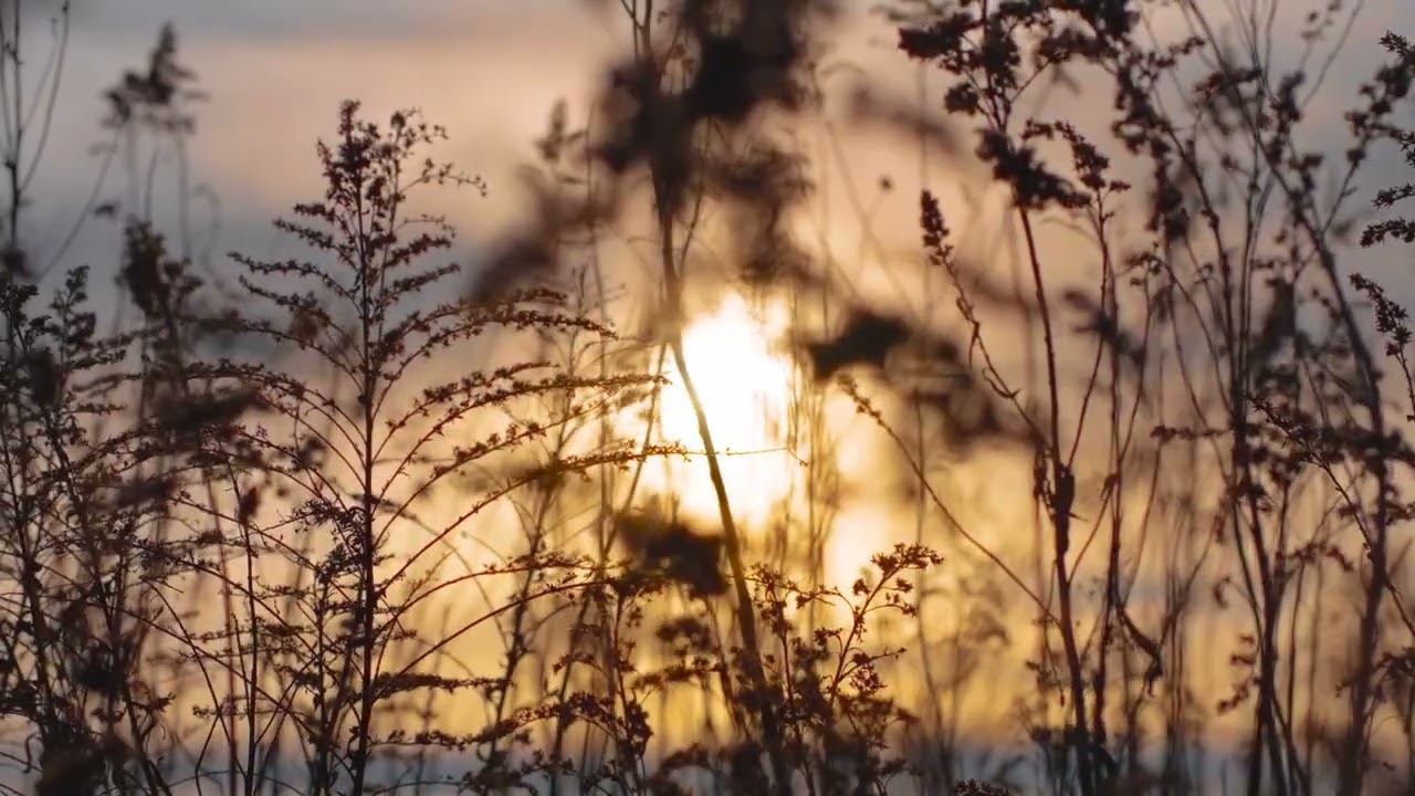 Accept all that surrounds us, for it is our Father's creation.