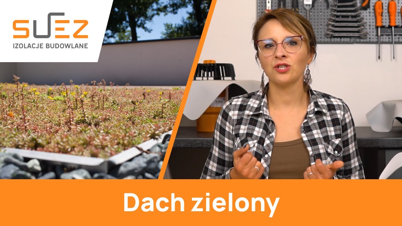 Dach zielony – jak wykonać go dobrze? Wiedza w pigułce - Poradnik ekspertów SUEZ