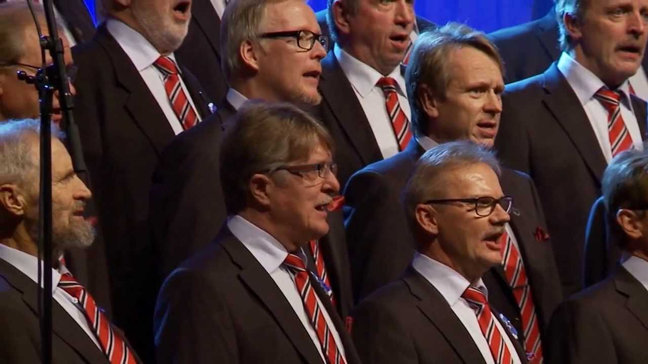 Haukiputaan Mieskuoron ja Jukka Pojan Veikko Lavi konsertti - Silakka apaja-