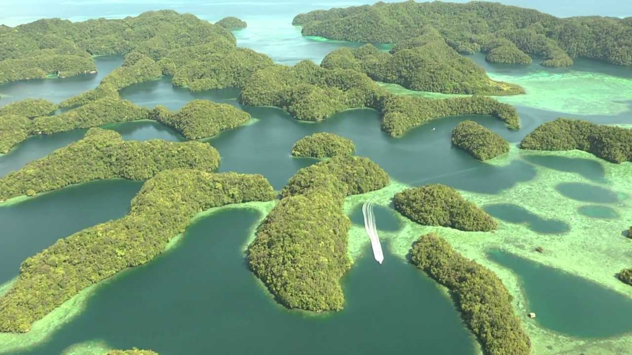 Palau World Heritage - A Naturalist's Haven