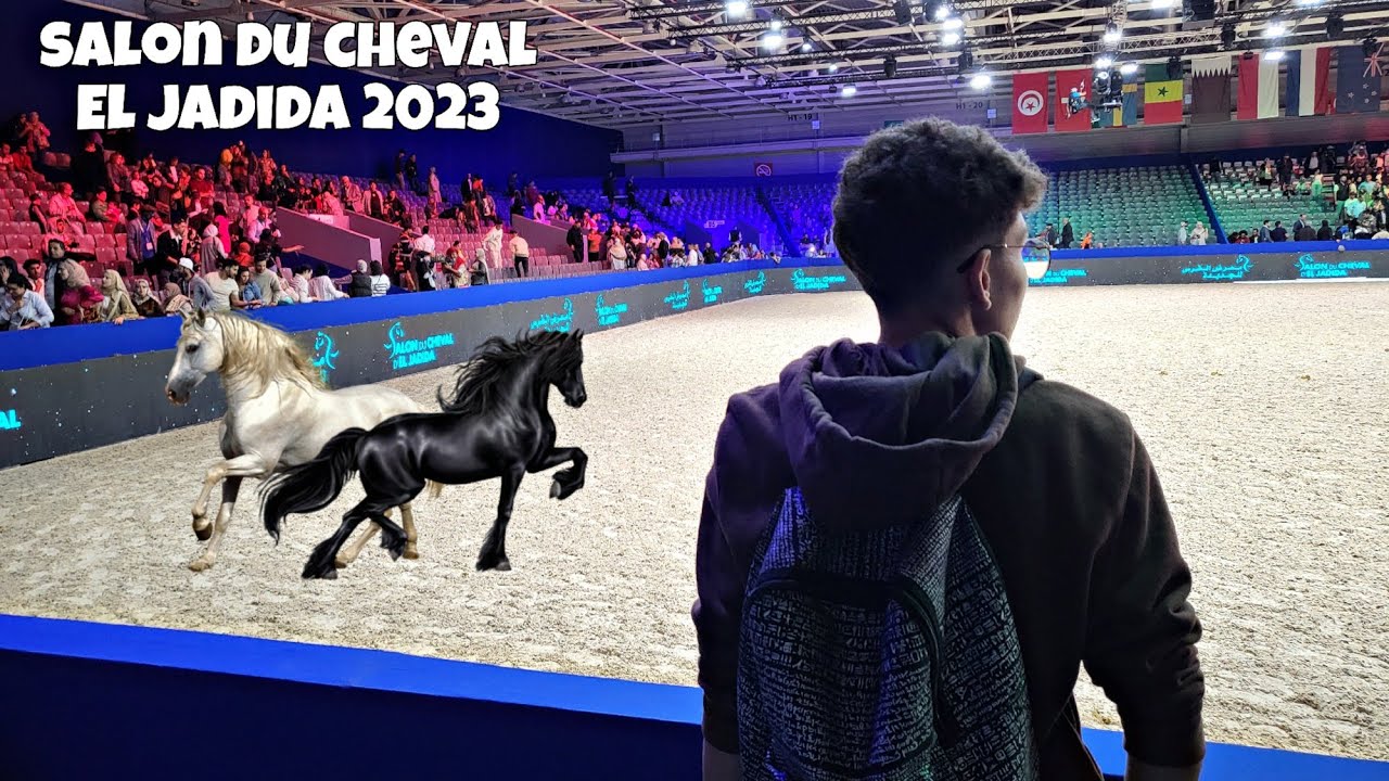 Salon du cheval El Jadida 2023 - Spectacle 🐎🐎 معرض الفرس بالجديدة 🔥👌🏼