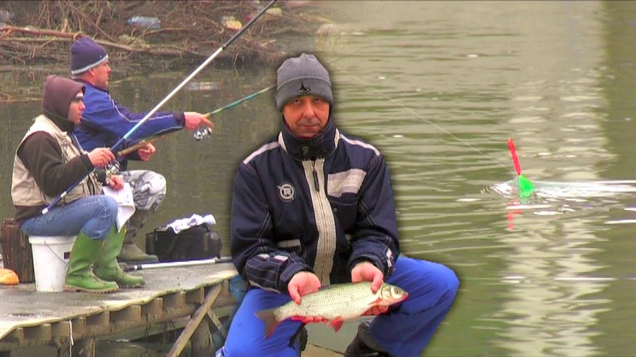 Pecanje na plovak Zapadna Morava - skobalj, bela riba | Fishing on float