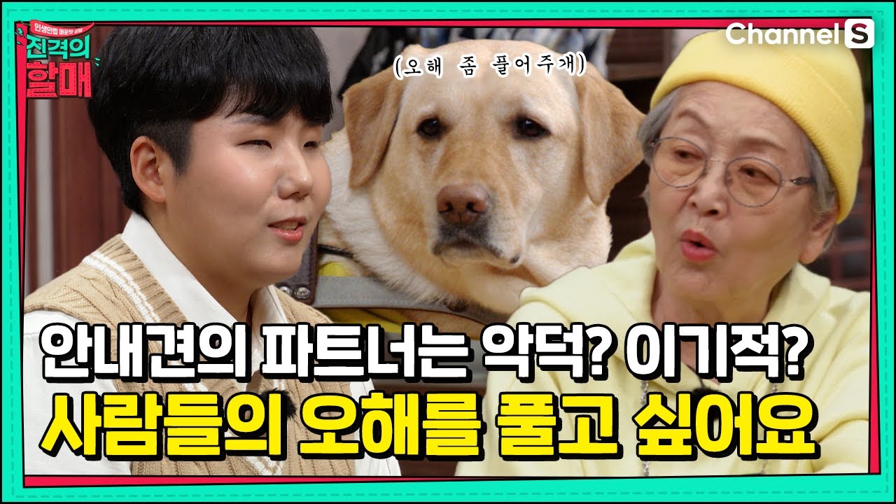 안내견의 파트너는 이기적이라고?! 오해와 진실을 말해줄🐶 오해 좀 풀어주🐶 ! ㅣ[진격의 할매]