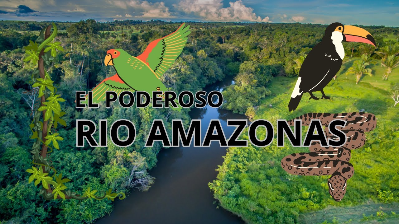El Poderoso R&iacute;o Amazonas: Datos, Selva y Conservaci&oacute;n