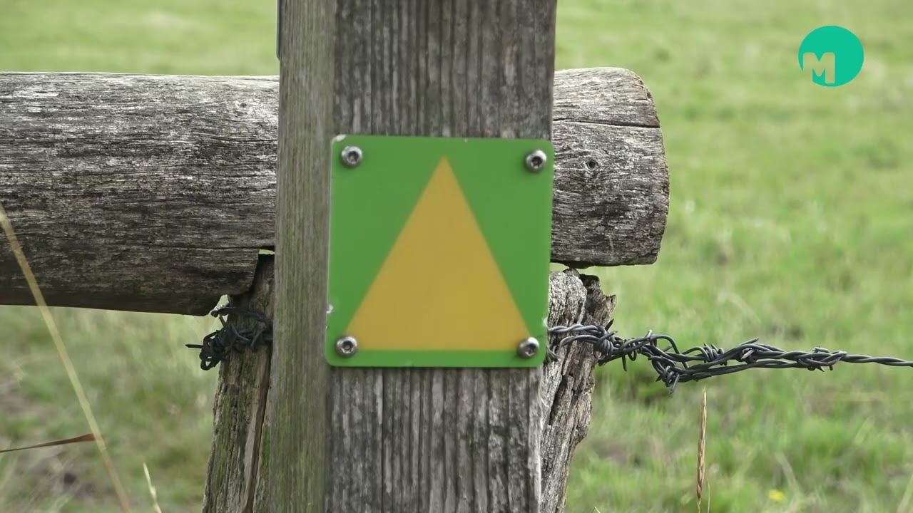 Wandelgids Meierij