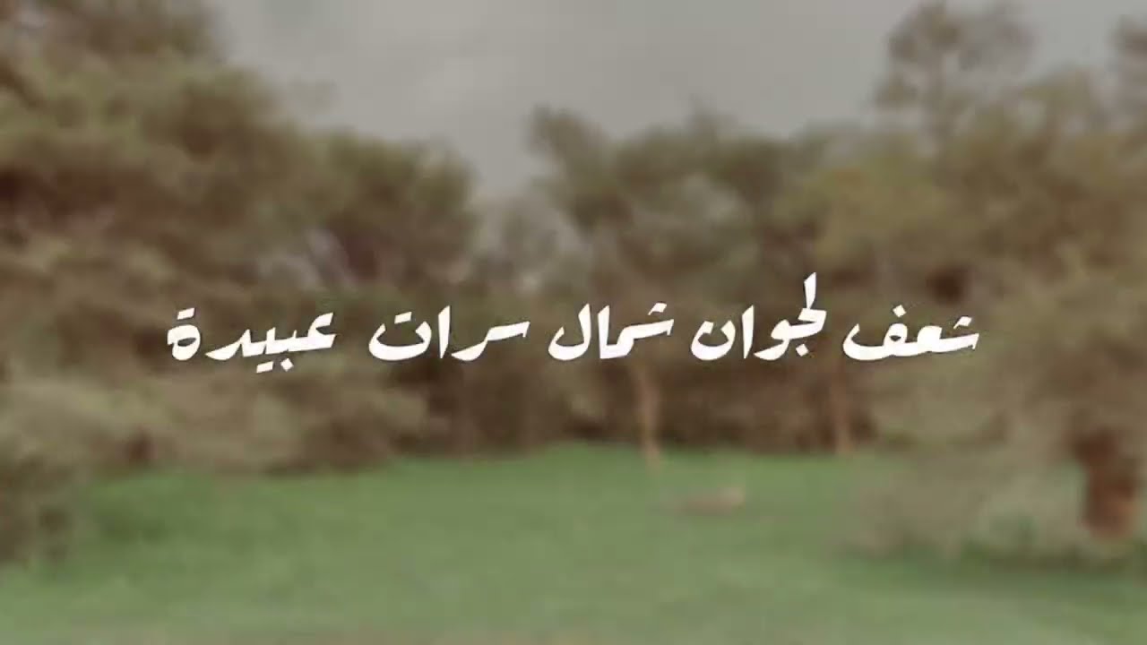 ‏شعف لجوان شمال سراة عبيدة