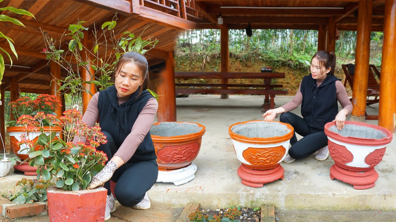Technique of casting bonsai pots with cement - Grow flower | My Farm/ Đào