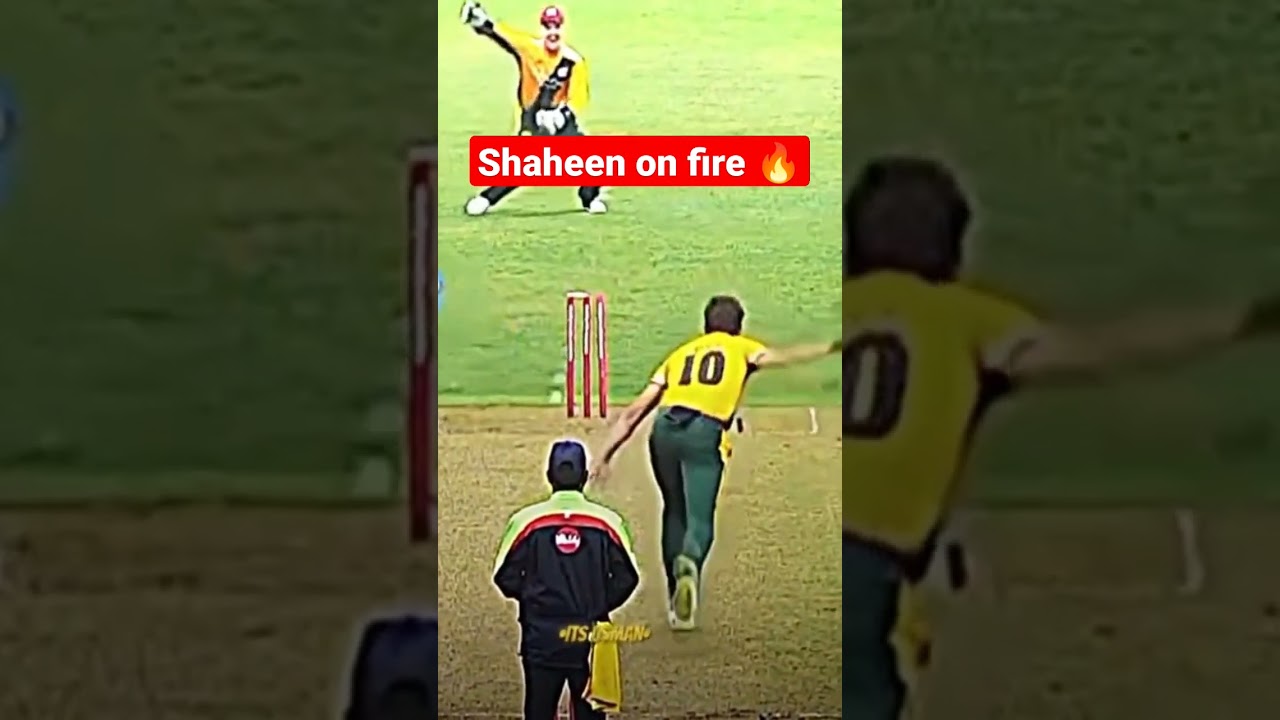 Tiktoke viral video 🔥#shorts #entertainment #tiktok #viral #cricket