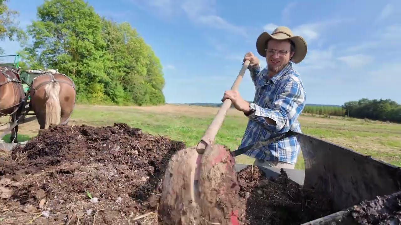 Mit Arbeitspferden in die Zukunft - Landwirtschaft auf dem Tannenhof