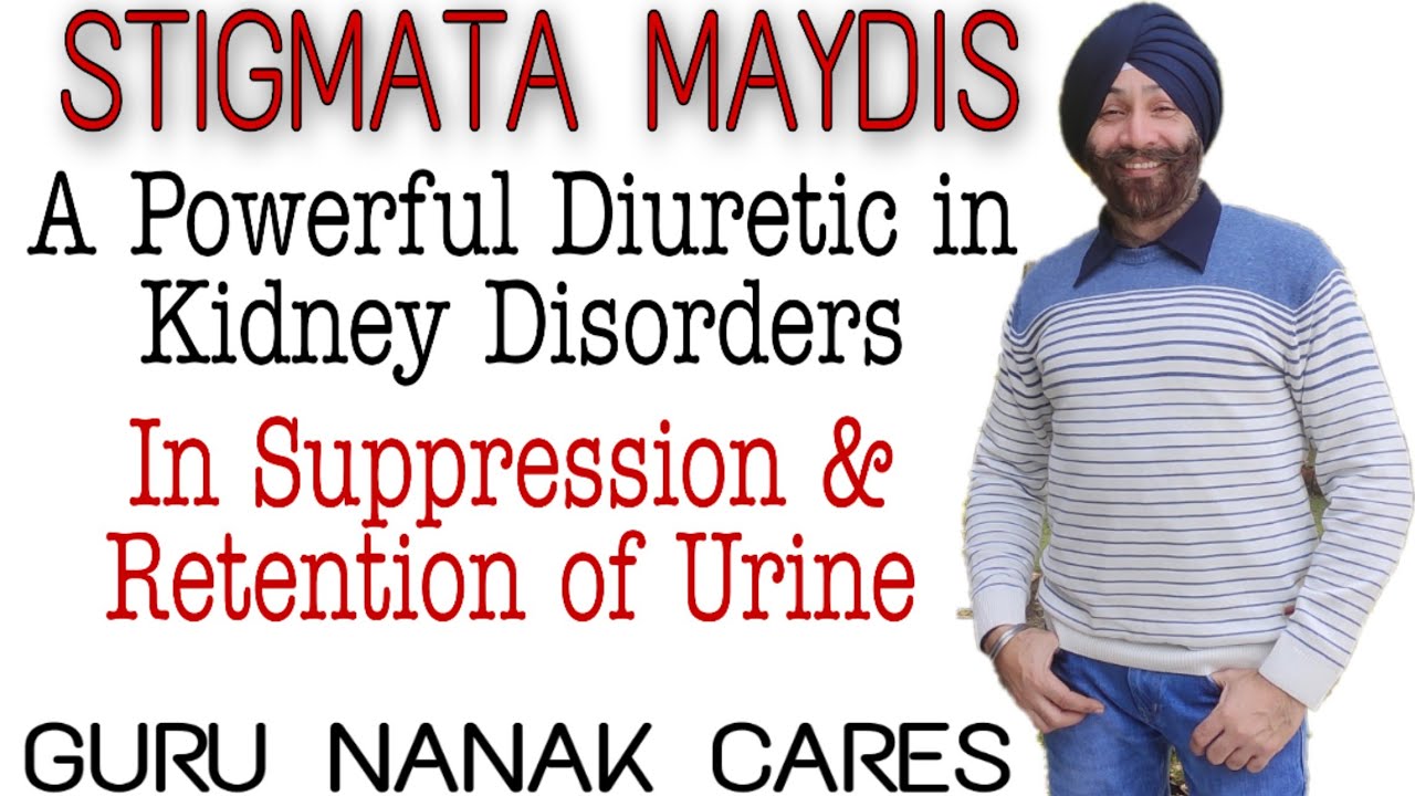 STIGMATA MAYDIS | The CORN SILK gift of Homeopathy | A Powerful Diuretic | सूजन का रामबाण ईलाज
