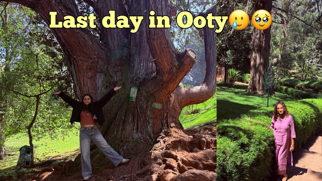 Goodbye Ooty 🌿 | Exploring Coonoor & Heading Home | 041/365