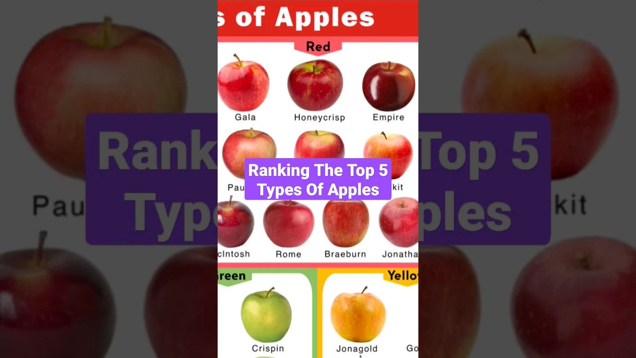 Ranking The Top 5 Types Of Apples #shorts #apples