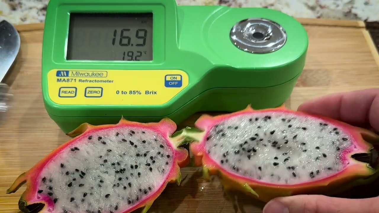 Sainarong's Orange Dragon Fruit Review