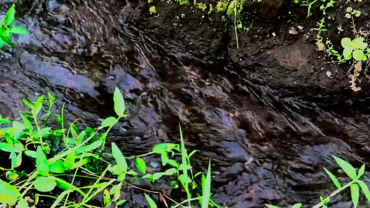 Este Sonido de Agua es Mejor que la Música – Sonido de río relajante | Alivio de Ansiedad