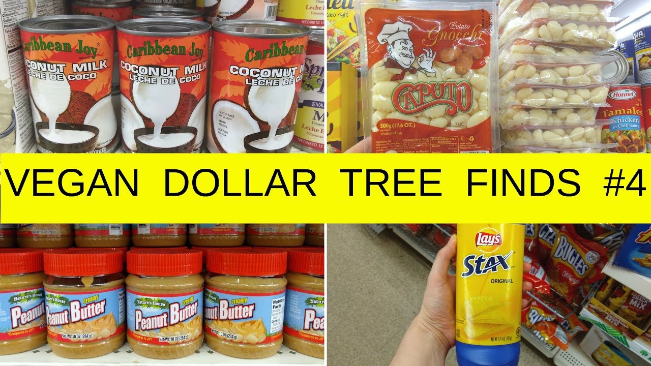 VEGAN DOLLAR TREE FINDS #4 ♥ Grocery Shopping | Dollar Tree Haul | Bianca's Kitchen