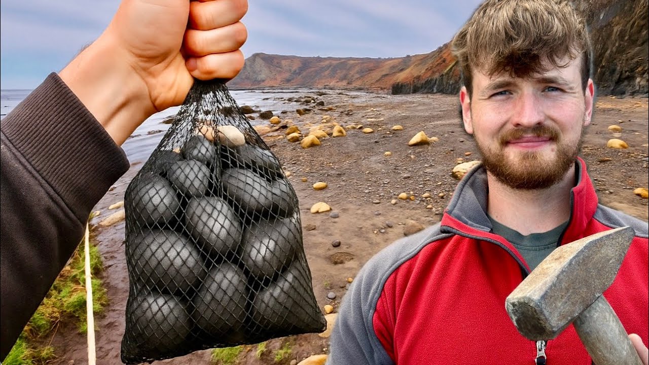 Solo Beach Fossil Hunt - Tonnes of Ammonites! 