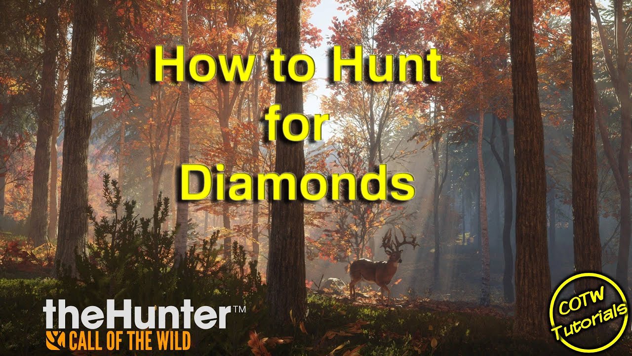 How to hunt For Diamonds