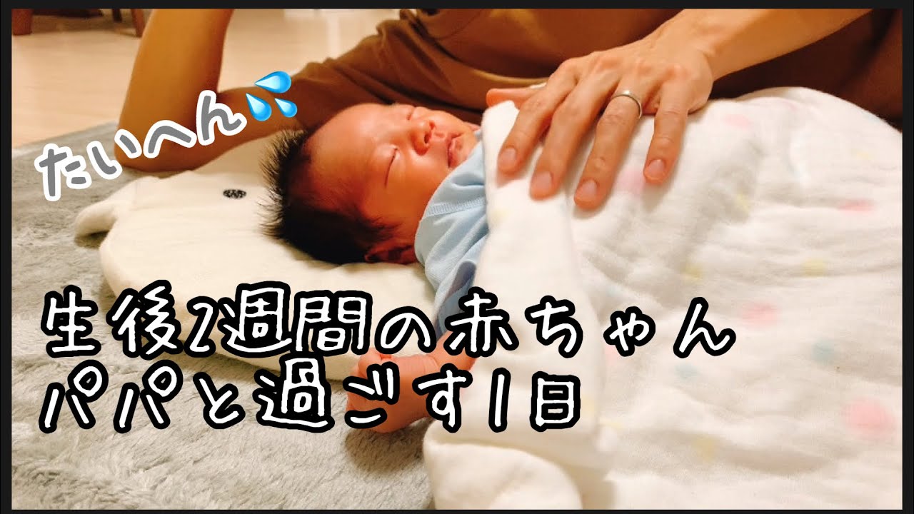 【新生児】生後2週間の赤ちゃん　パパと過ごす1日