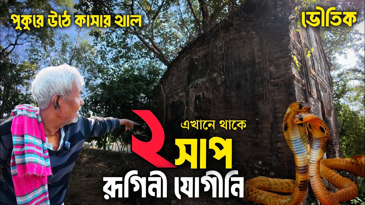 শকুনে গরুর হাড় ফেলায় পুজা বন্ধ  হয় এই মন্দিরে। অলৌকিক সাপ রাগিনি যোগীনির ইতিহাস। সিদ্ধেশ্বরী মন্দির।