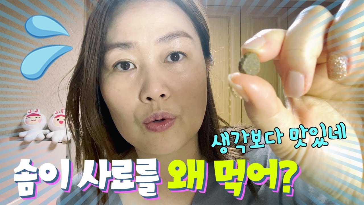 솜이 사료를 왜 먹어?? 포메 솜이가 사료를 안먹는 이유를 찾아라~!! 결론은 당연히...ㅠㅠ