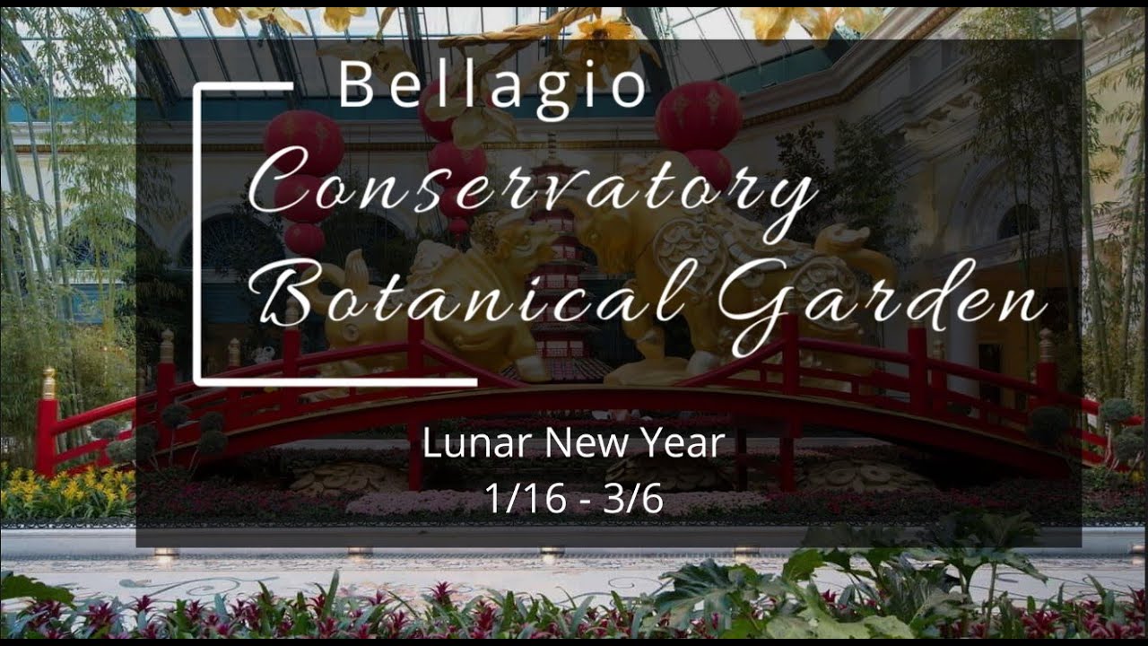 Bellagio Conservatory Lunar New year display 1/16/2021- 3/6/2021