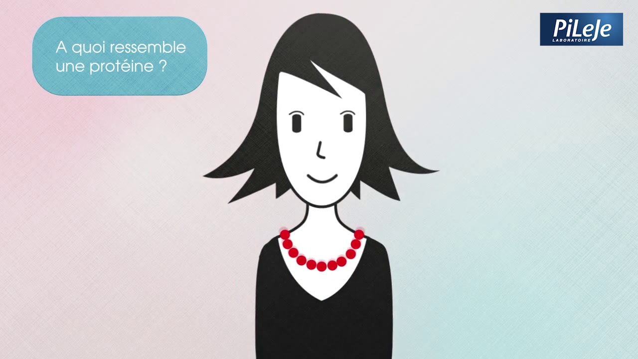 L’intérêt des Protéines