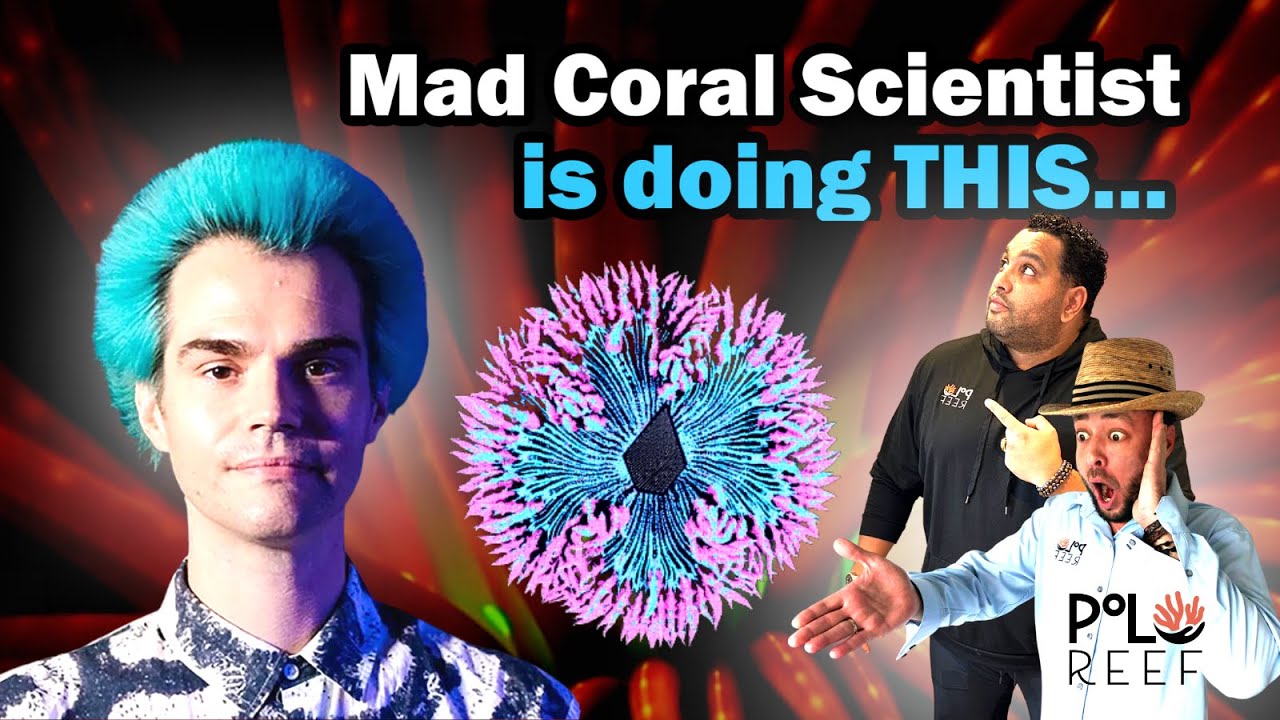 Hybrid corals?! What is Coral Morphologic up to?